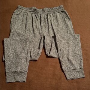 ZYIA Heather Gray Joggers